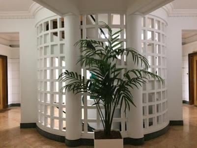 Magnifique Appartement Jean Medecin/Notre Dame Niza Exterior foto